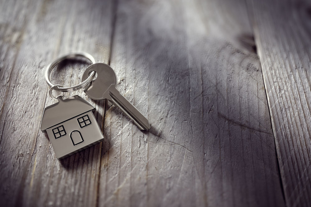 Tampa Property Owners